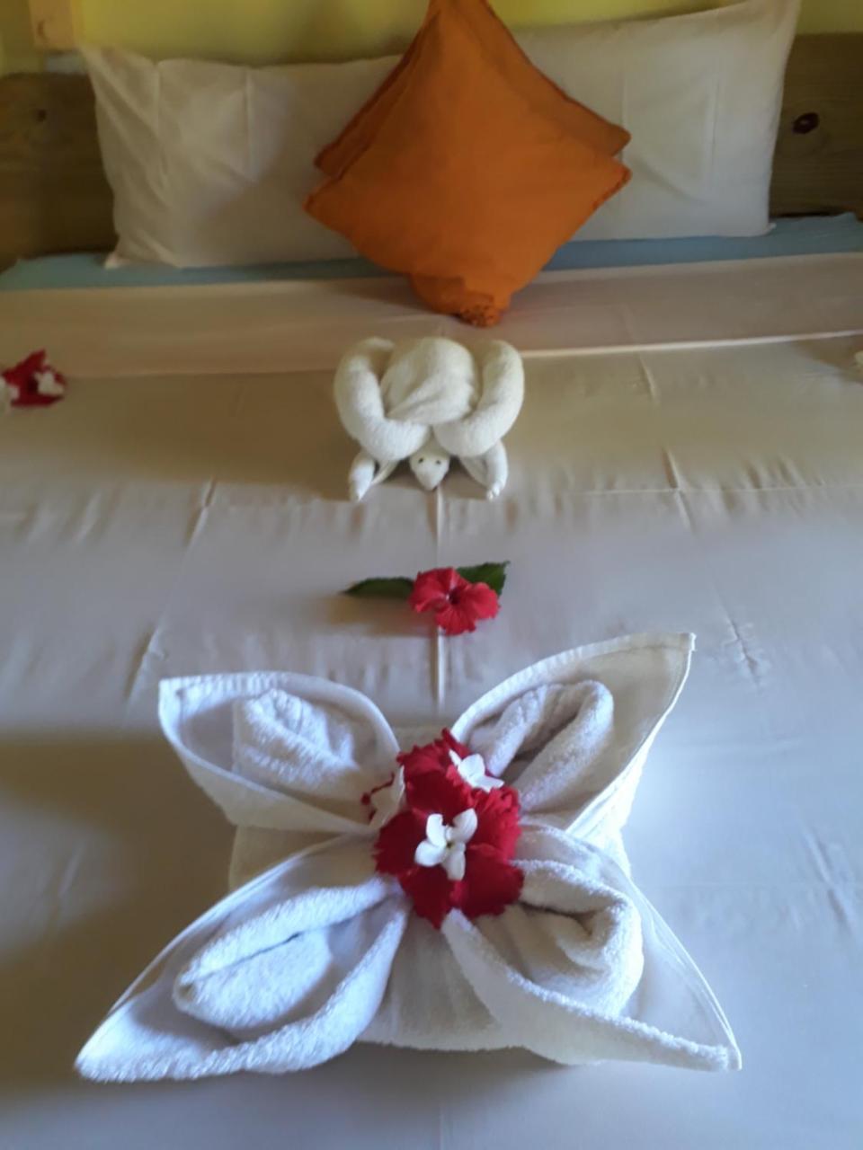 Paradise Flycatcher'S Lodge La Digue Luaran gambar